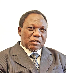 Prof. Mayunga H.H. Nkunya   -