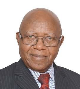 Prof. Keto E. Mshigeni -